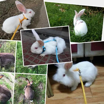Animale de companie Iepure Moale Ham Lesa Reglabila Bunny Coarda de Tracțiune pentru Rularea de Mers pe jos WXV Vânzare
